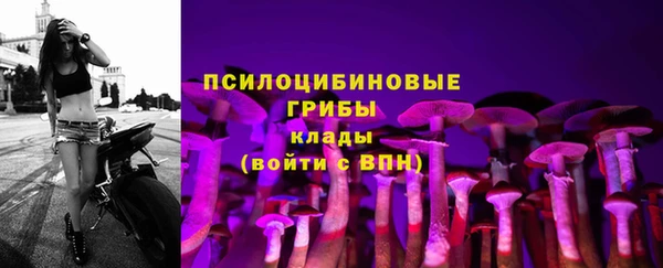 прущая мука Нефтегорск