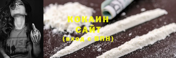 мдпв Новозыбков