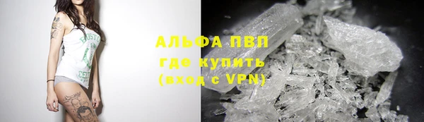 крисы Нефтекумск