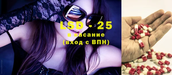 мдпв Новозыбков