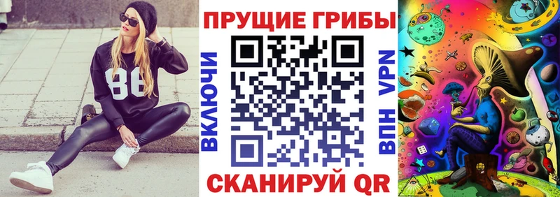 Псилоцибиновые грибы GOLDEN TEACHER  купить наркотики цена  блэк спрут как войти  Мышкин 